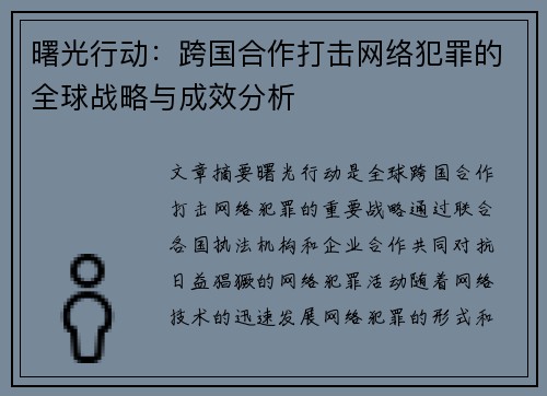曙光行动：跨国合作打击网络犯罪的全球战略与成效分析